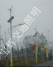 廠家供應(yīng)海南省三亞市8米42w風(fēng)光互補太陽能路燈產(chǎn)品圖片高清大圖