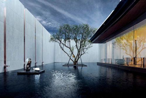 5月全國(guó)19個(gè)地產(chǎn)景觀項(xiàng)目合集 景觀周發(fā)布